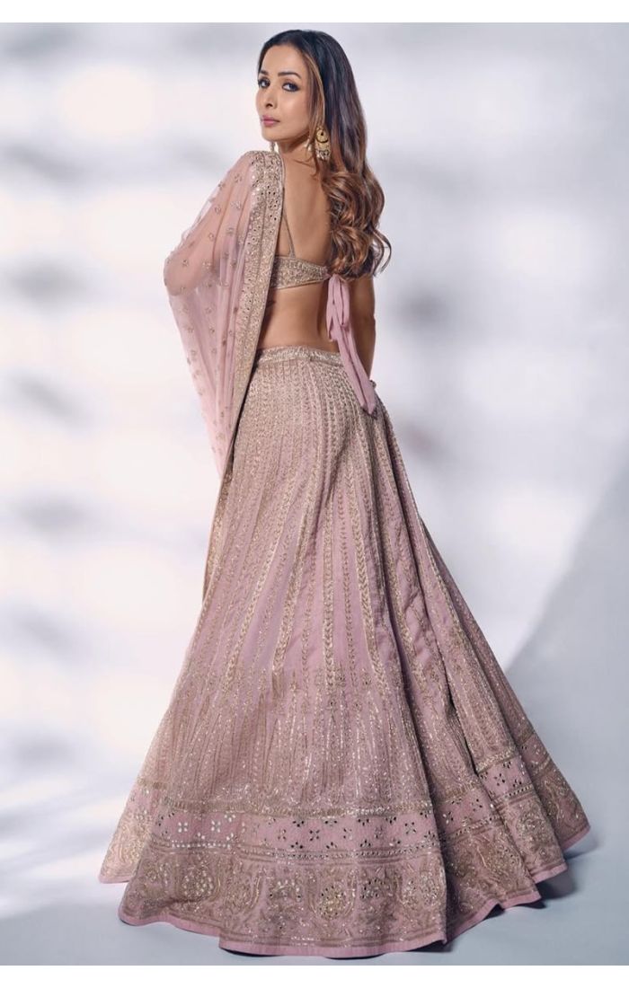 Back View of Baby Pink Bridal Lehenga Choli in Net Fabric for Reception Wear
