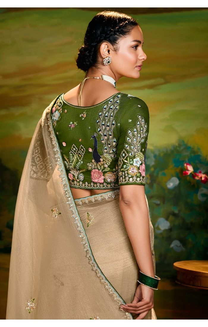 Back view highlighting pallu and stone embellishments