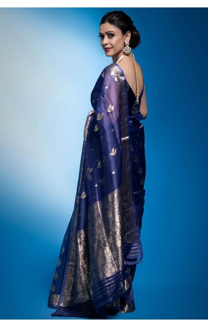 Rear view of woman in blue Banarasi saree showcasing pallu and blouse design.
