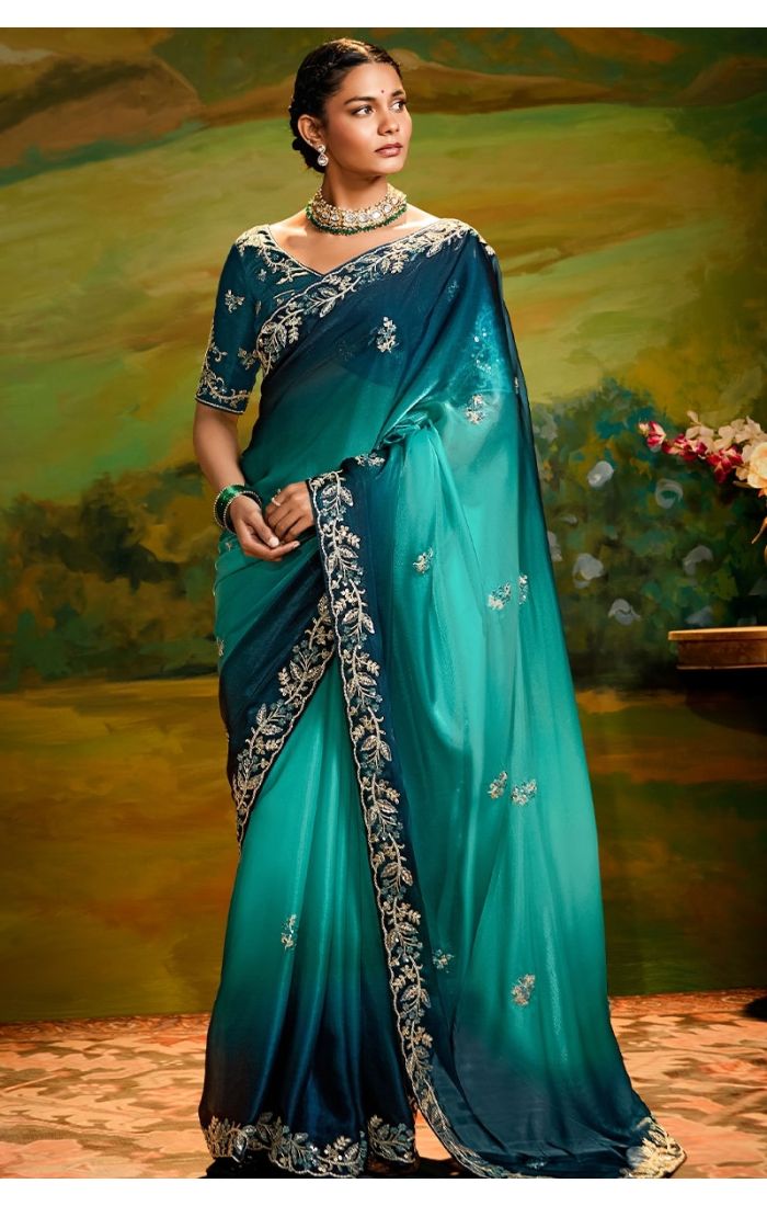 Blue organza saree front view with blue raw silk blouse