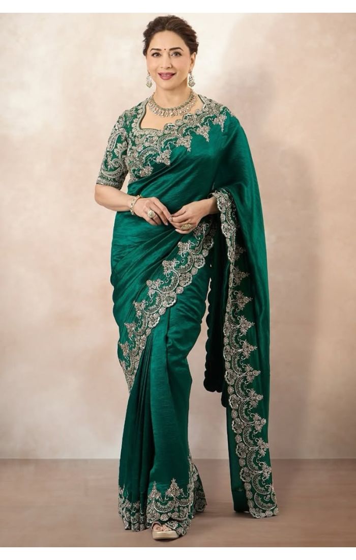  Front pose showcasing the embroidery border and pallu design