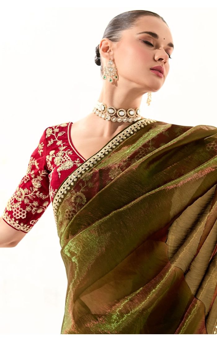 Detailed pallu view of the saree showing zari and stone embroidery on organza silk fabric.