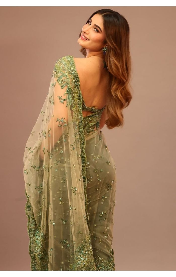 Rear side profile highlighting sheer embroidery work and drape of green net saree.