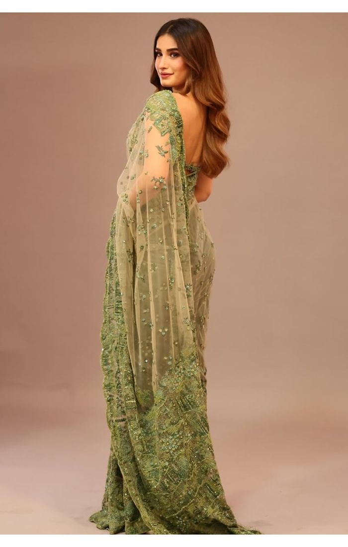 Back pose showing detailed embroidery on net saree and blouse with deep back design.