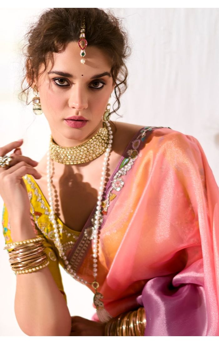 Front profile showcasing detailed neckline embroidery and zari border of the saree.