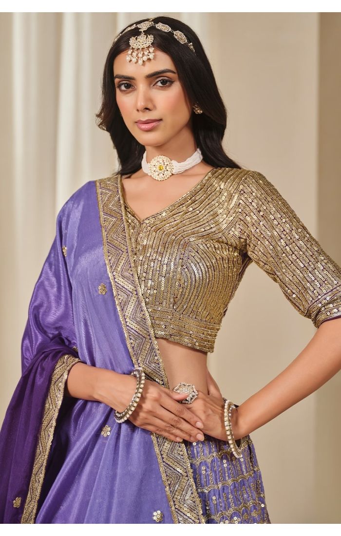  Close-up of embroidered blouse neckline and sleeve detailing