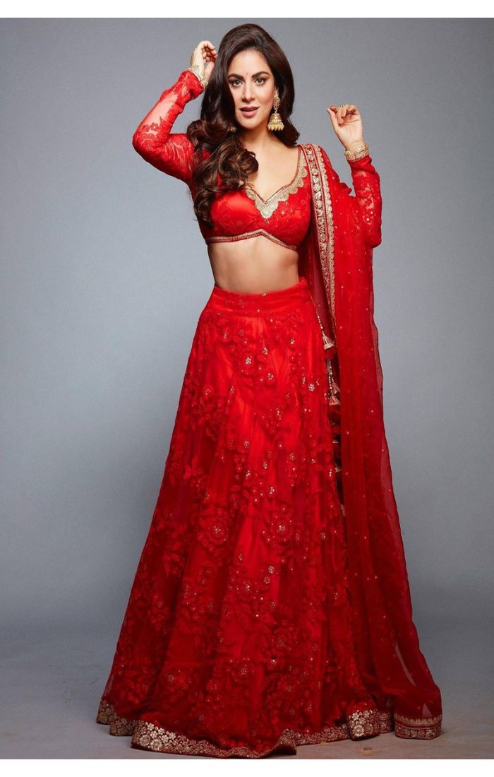 Red Embroidered Bridal Lehenga with Intricate Detailing