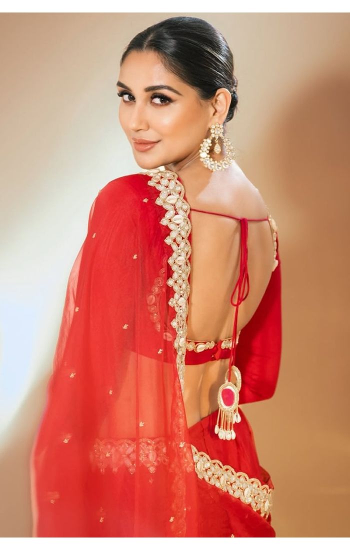 Back blouse design of red saree with tassels and back-tie detailing.