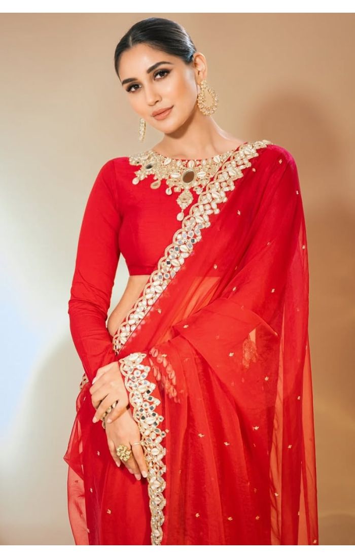Close-up showing mirror embroidery on saree border and elegant blouse neckline.